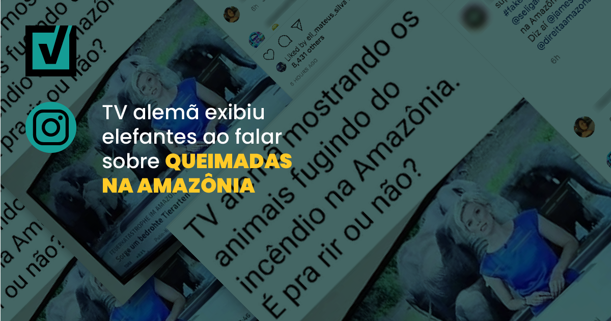 Image accompanying Noticiário de TV, em alemão, mostra elefantes atravessando um córrego e o texto "desastre com incêndio na Amazônia"