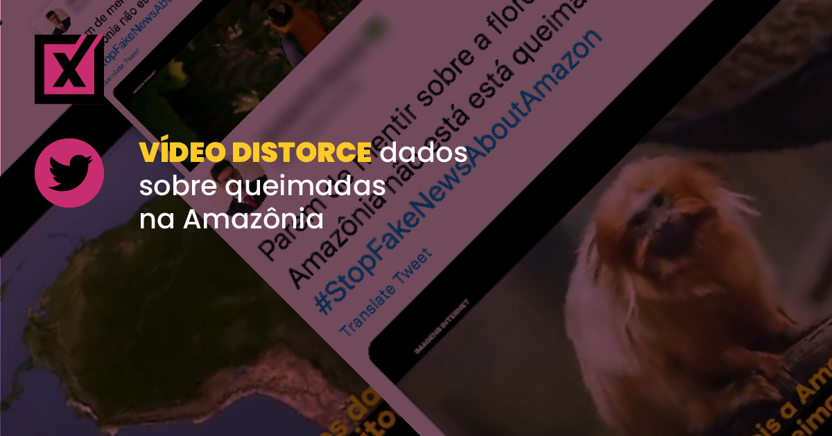 Image accompanying Amazônia não está queimando, Brasil é o país que mais preserva áreas nativas do mundo e alimentos brasileiros são os mais sustentáveis do planeta