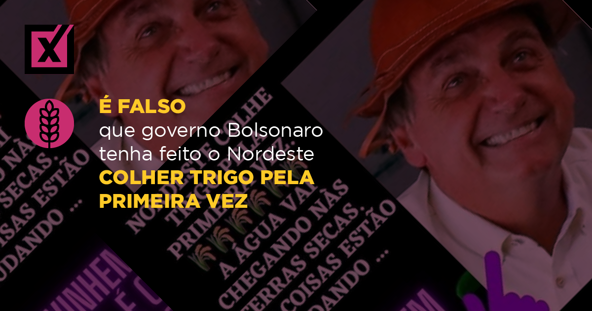 Image accompanying Nordeste colhe trigo pela primeira vez. A água vai chegando nas terras secas. E as coisas estão mudando… Adivinhem quem é o culpado?